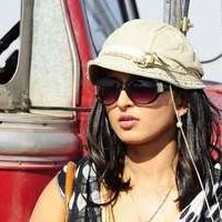 Anushka Shetty - Bhadra movie stills | Picture 36136
